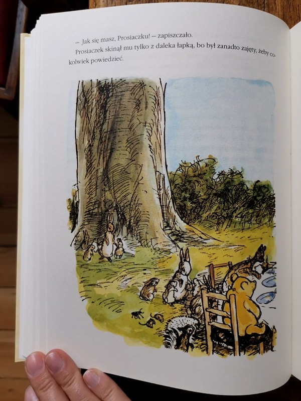 Kubuś Puchatek Chatka Puchatka. A. A. Milne z ilustracjami Ernesta H. Sheparda